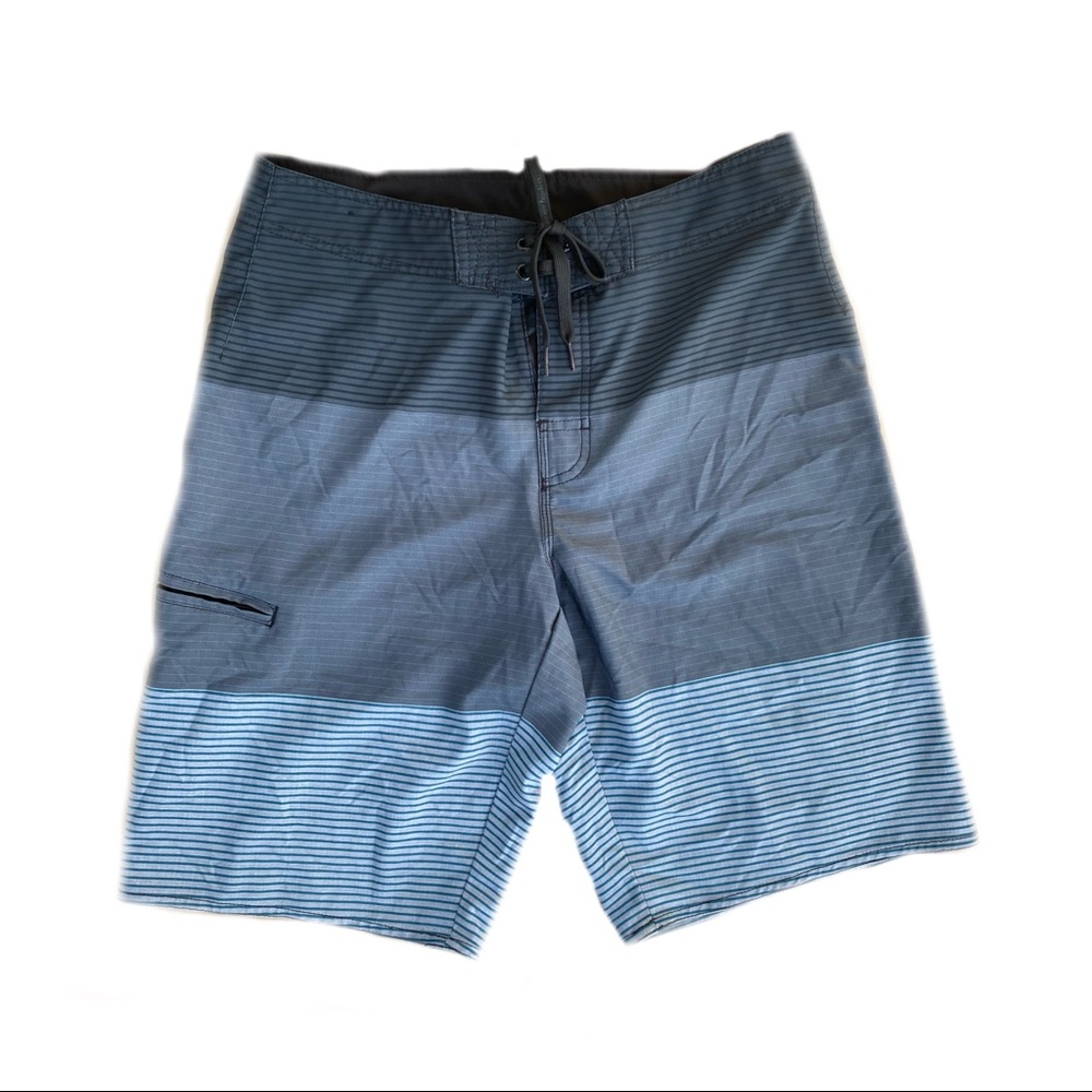 Hang Ten Gray and Blue Swim Trunks